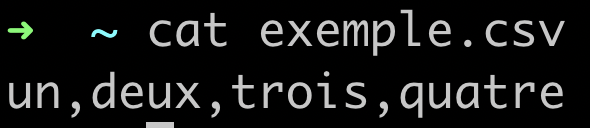 Fichier CSV Python dans le terminal