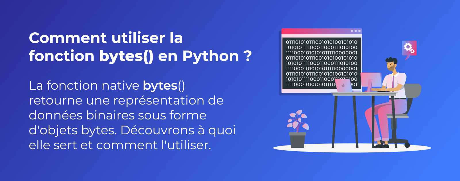 La fonction bytes en Python