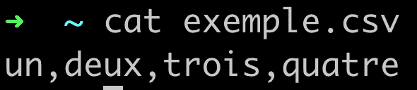 Fichier CSV Python dans le terminal