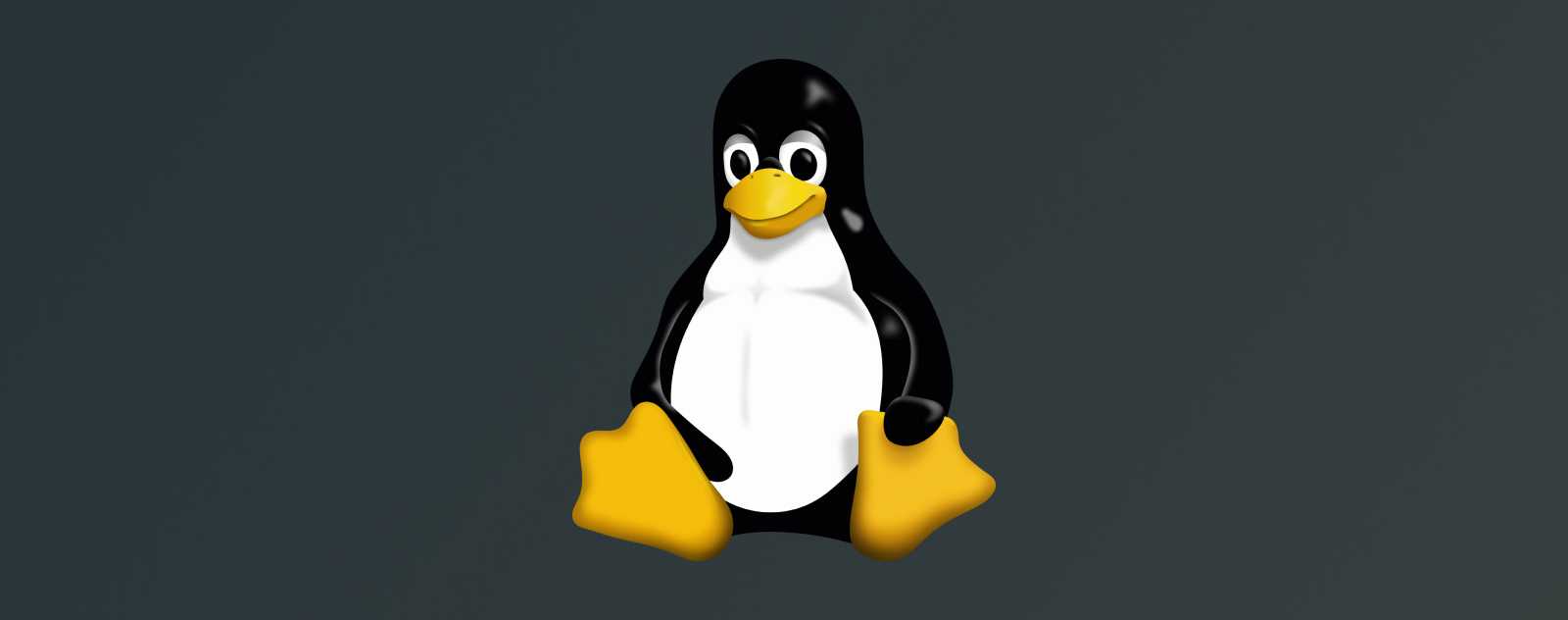Comment installer VSCode sur Linux ?
