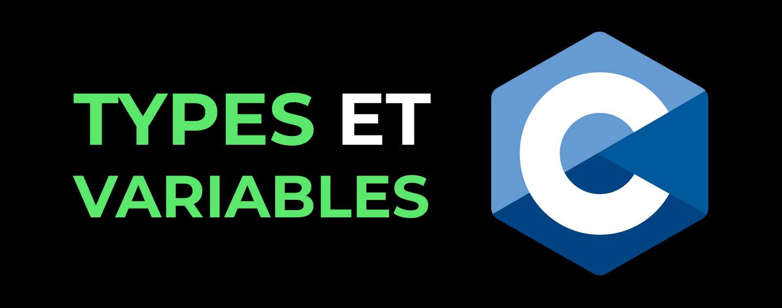 Comprendre les 4 types essentiels en C