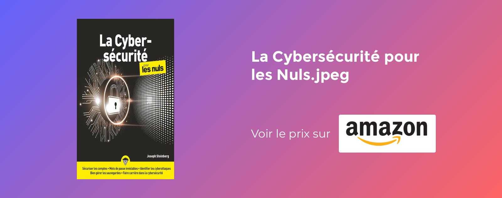 La Cybersécurité pour les Nuls