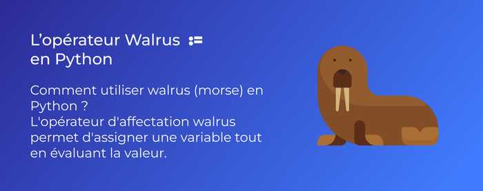 python-operateur-walrus