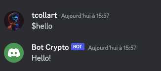 Bot discord fonctionnel